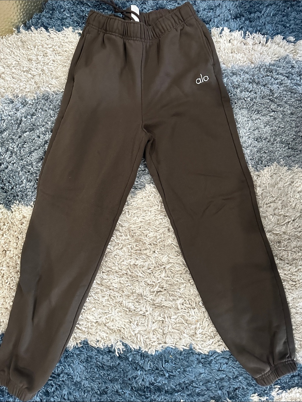 Alo Accolade Sweatpant in Expresso